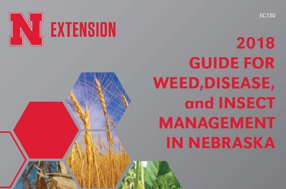 UNL RECOMMENDATION WHEN USING 2,4-D OR DICAMBA BEFORE PLANTING: 2,4-D (both ester and amine) 16 fl oz apply no fewer than 10 days before planting >16 fl