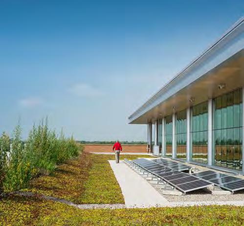 Green Roof Collaboration with our zoo s Butterfly Beltway program resulted in a 3,300 SF combination vegetated green roof and butterfly habitat