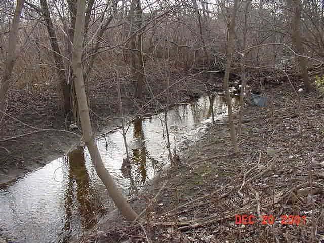 Part 301, Inland Lakes and Streams Protects inland waters by regulating work in inland lakes and streams. What is a Stream?