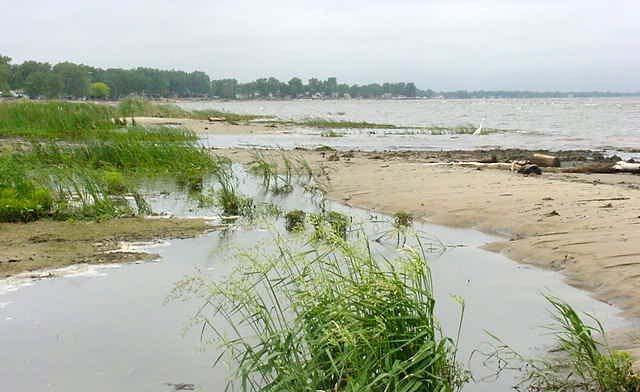 Wetlands reduce shoreline erosion.