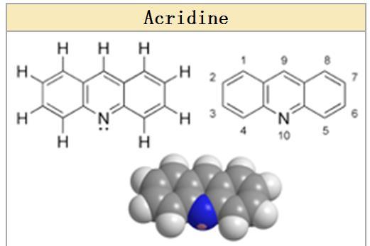 10.4 Mutagenesis Intercalating agents: Acridine, planar
