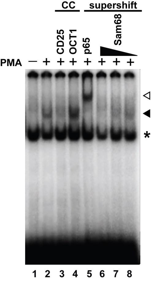 Supplementary Figure S3. Sam68 is an integral component in the CD25 κb DNA binding complex.