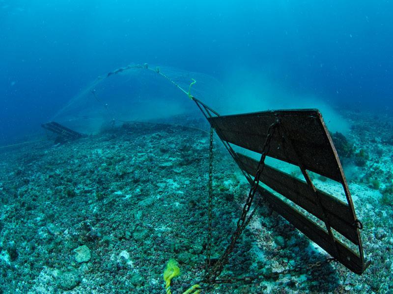HABITAT DESTRUCTION Most areas of the world's oceans are experiencing habitat loss Destructive fishing