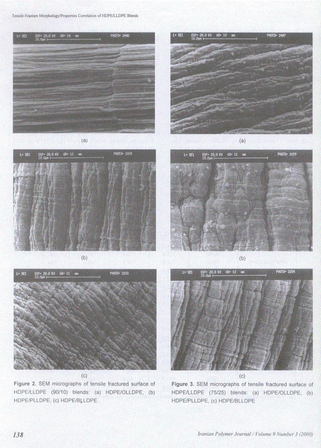 "- rphotngylf7openies Correlation of ] 1DPEJLLDPE DIends dt 8d 20.0 a S. w nu. MI2. 2186 (a) (b) (c) Figure 2. SEM micrographs of tensile fractured surface of Figure 3. SEM microgiapf.