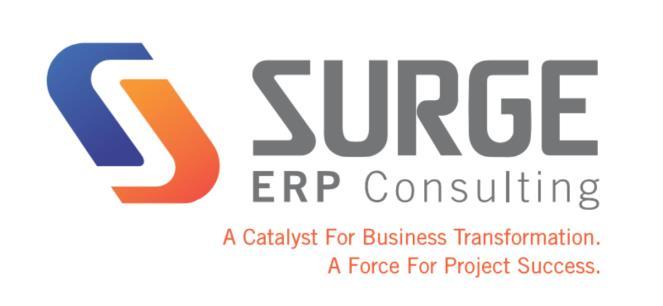 ABOUT SURGE ERP SURGE ERP Consulting consists of a team of highly experienced Professionals who help their clients achieve their business transformation goals through the use of technology.
