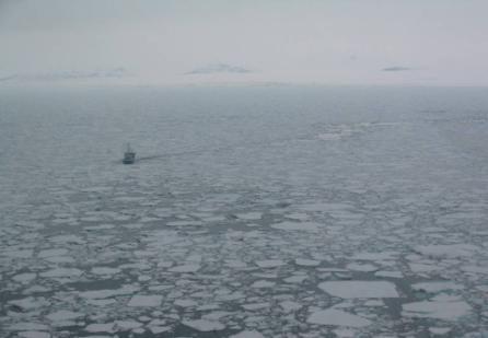 Ship routing in ice waters