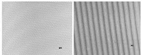 Solution Nanostructured polymers