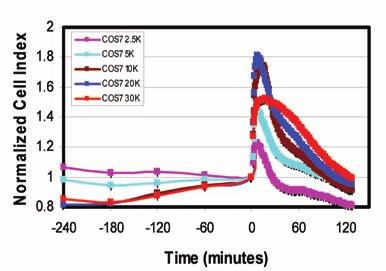 Results and Discussion continued A C EC 50 = 0.95 ng/ml B EC 50 = 5.9 ng/ml Figure 2: Characterization of COS7 cellular response to EGF and HGF treatments.