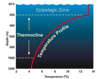 Ocean Temperature 3 key factors affect it 1.