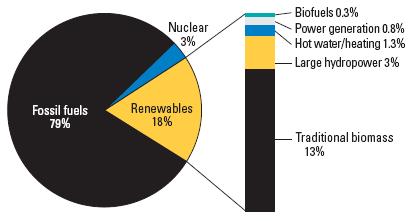 Figure 2 Renewable Energy Share of Global Final Energy Consumption, 2006 (http://www.ren21.net) 4.