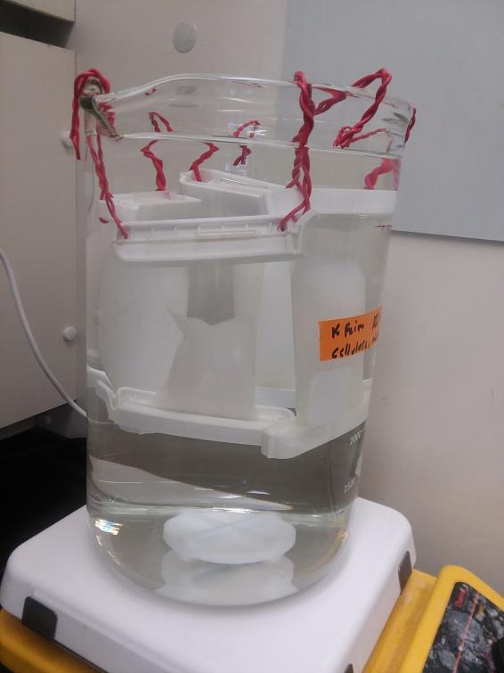 CNF Purification Steps Dialysis Separation