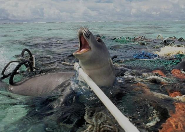 Motivation Environmental Plastic Microplastics in oceans