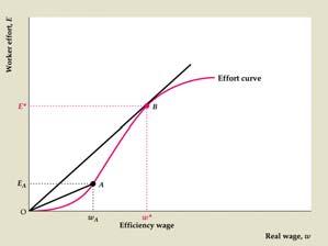 The Effort Curve Equilibrium Real Wage Note that firms set the real wage to maximize effort (output) per dollar spent on labor.