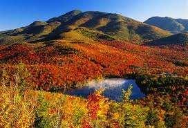 Based on late 19 th -early 20 th Century ideals, values & culture: Adirondack