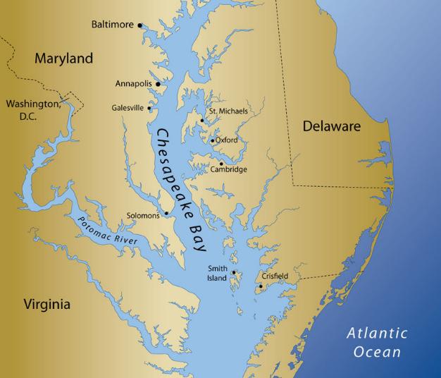 development, pollution, habitat alteration, and overfishing Chesapeake