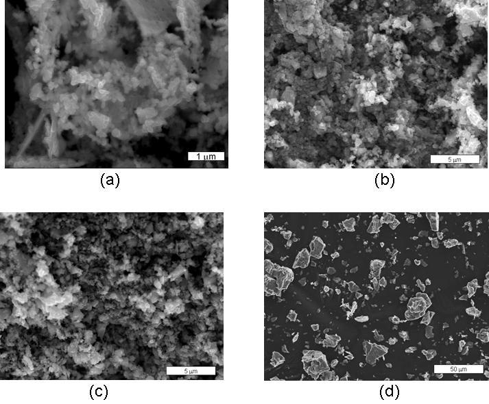 Figure 3-2. SEM images of the as-received particles.