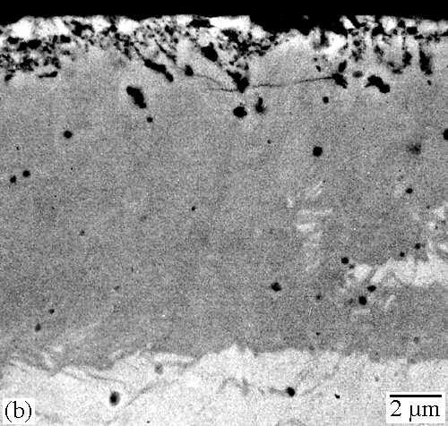Cross-section of the GN and the GD specimen, representing a dense and a porous compound layer, respectively. The compound layers are observed as dark-grey in compo-mode. (SEM).