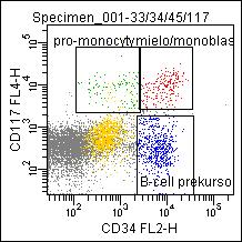 Myelo/monoblast CD34 CD117 HLA-DR CD13 CD33