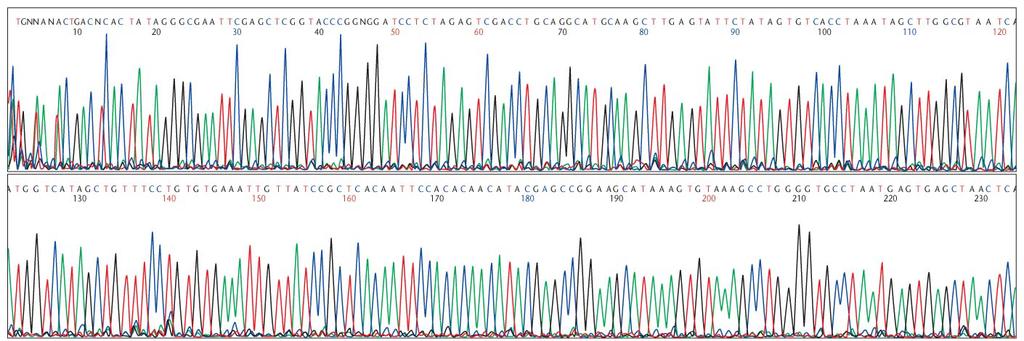 Large-scale genome sequencing is automated and uses