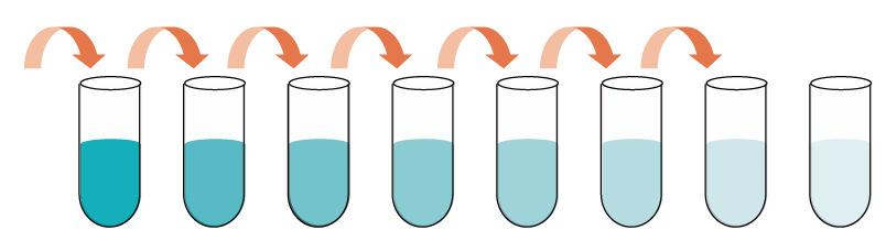 Assay Protocol Reagent Preparation Bring all reagents and samples to room temperature (18-25 C) before use.