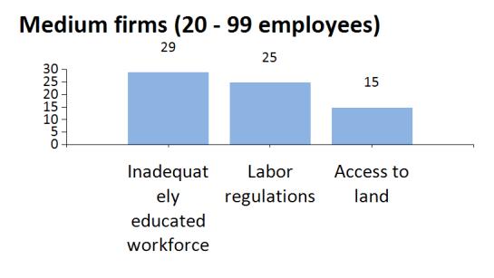 Figure 19: Top ten business environment constraints (percent of firms)