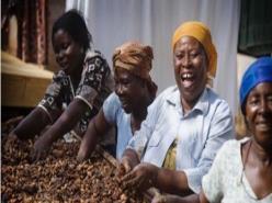 Anticipated NCBs under REDD+ Cocoa Program Livelihoods 800,000+ cocoa farm families 30% of Ghanaians rely directly upon the sector Increase access to farming resources Doubling yield, increase income