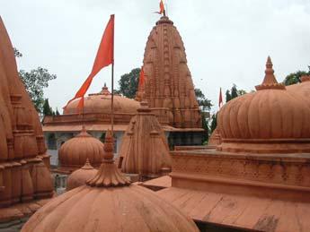 The project area of Eco City Puri is around the Jagannath temple.