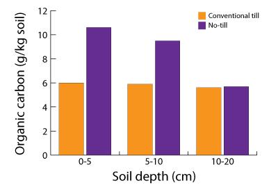 Soil organic matter and its major constituent, organic carbon, can be depleted from soil during