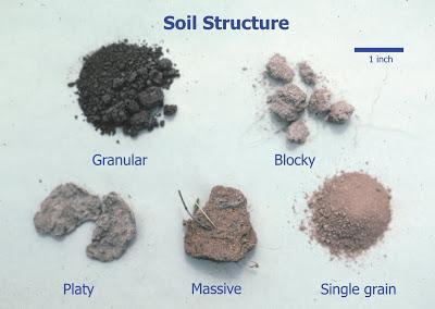 microorganisms, ionic bridging, clay Expressed as degree of aggregate stability http://ecomerge.blogspot.