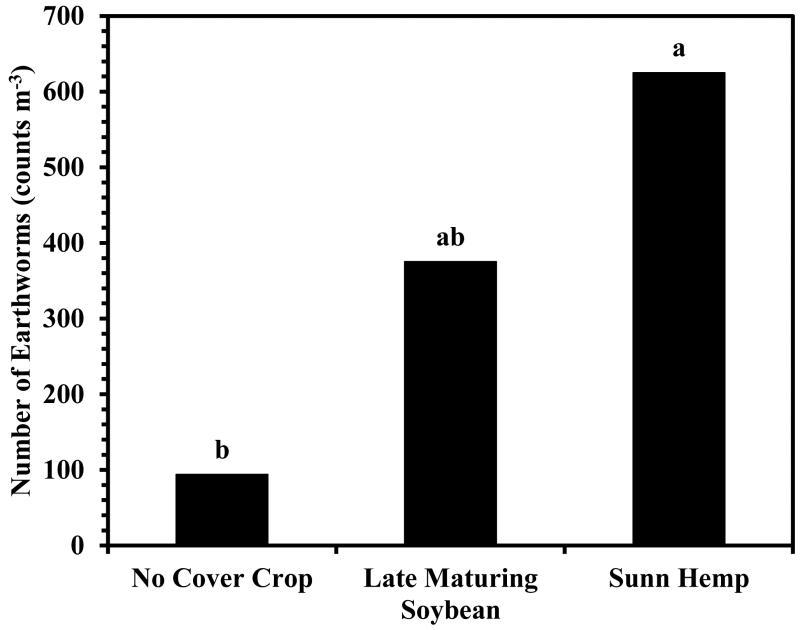 COVER CROPS Provide food for beneficial soil microbes and earthworms Increase soil