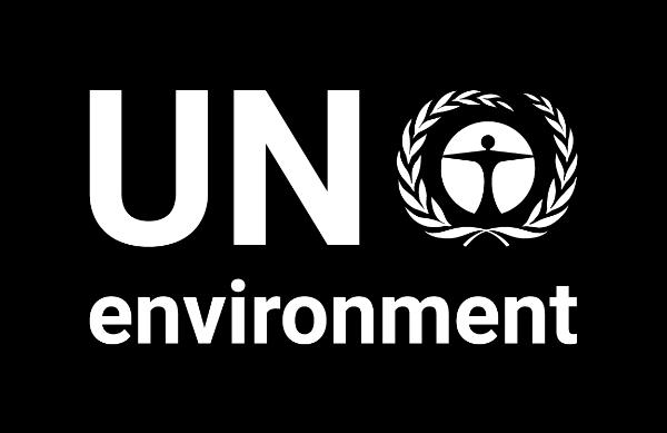 Developing the UNEA3 Pollution Implementation Plan Proposed process and