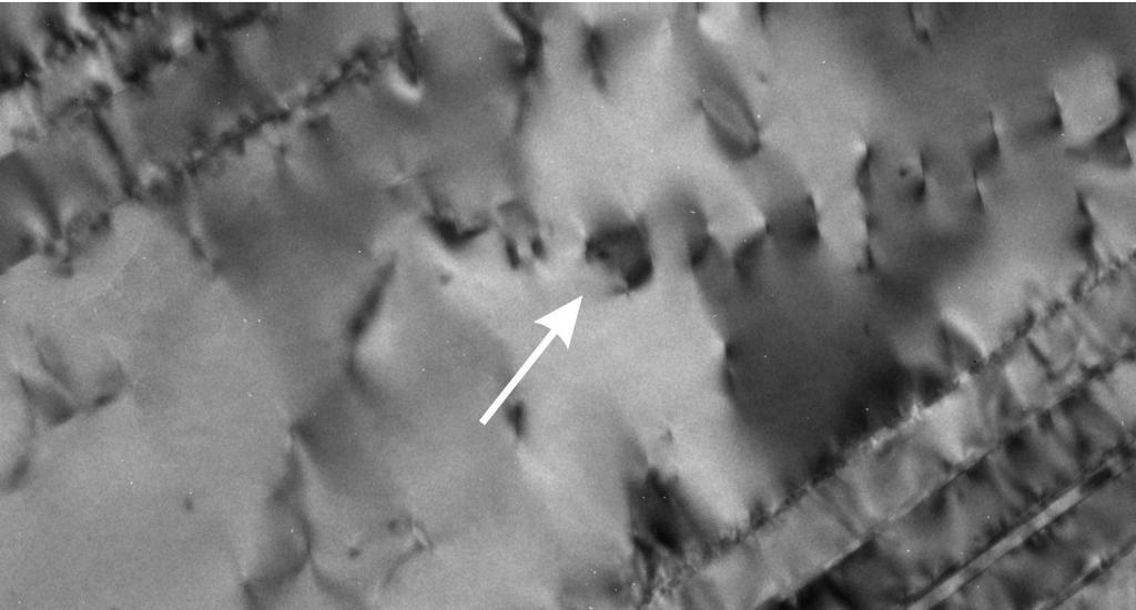 Materials Science Forum Vols. 539-543 5015 (1) Dislocation activity along twin boundaries. Fig. 3 shows a TEM observation at a relatively low magnification.