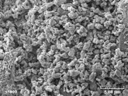 Inhalable particles Figure 1 Lovastatin micro-particles trapped on lactose granules Widely used for the treatment of respiratory diseases, the direct delivery of drugs to the lung receives more and
