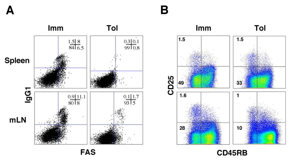 Mucida et al. Supplementary material Supplementary Figure 5. Oral tolerance in T/B monoclonal IL-10-/- mice. This figure complements Figure 8 of the main text.