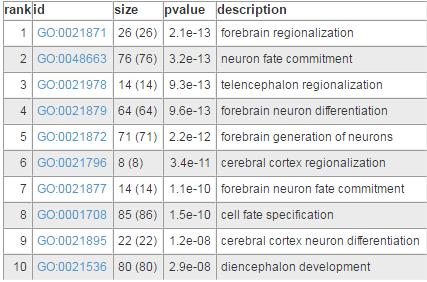 IVS10+16 neurons are different