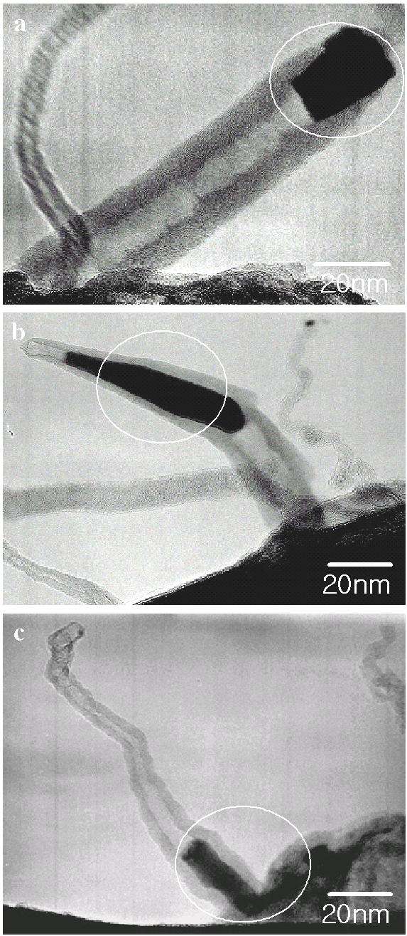 -S730- Journal of the Korean Physical Society, Vol. 42, February 2003 Fig. 4. TEM images showing three representative types of CNT growth; (a) tip-growth mode, (b) intermediate-growth mode and (c) base-growth mode.