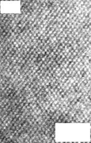 In this specimen (size: 4 2 µm), voids are generated in the central area with white contrast by electromigration; in this dark-field STEM image, the contrast is proportional to the product of atomic