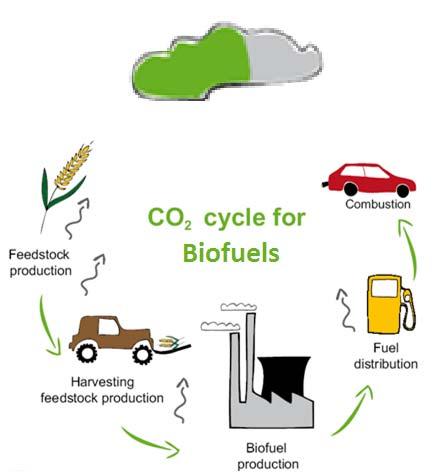 What about CO 2 emissions and Fossil Fuel Consumption?