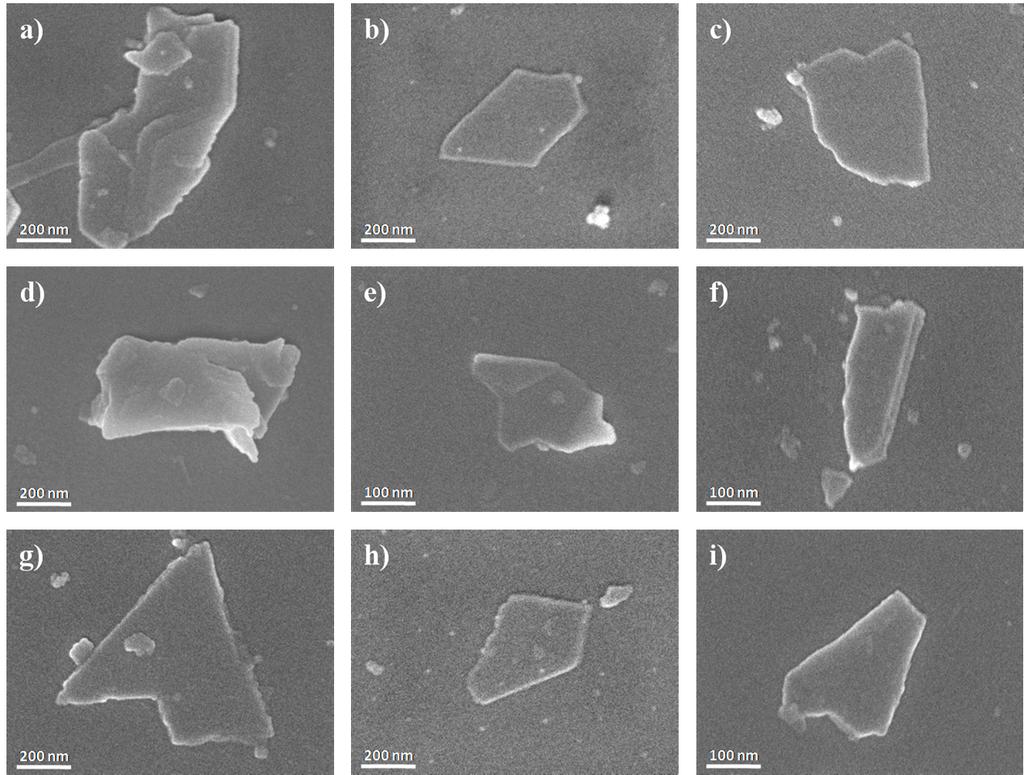 Figure S5. SEM images of MoS2 nanosheets.