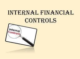 Overview of Internal Financial Controls ( IFC ) Definition of IFC as per Section 134(5)(e) The policies and procedures adopted by the company for ensuring orderly and efficient conduct of its