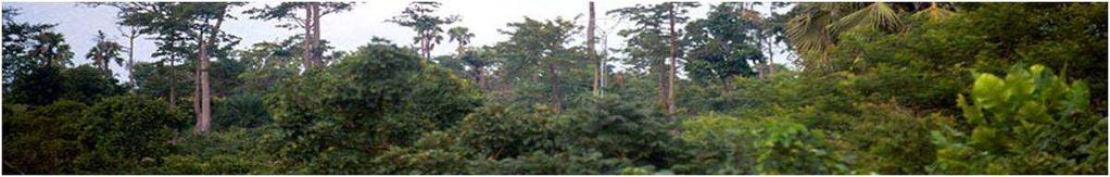 Forest Carbon Partnership Facility Republic of Congo ER-PIN Republic of Congo