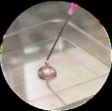 A two-stage tunable hydrogel forming process: 1 STAGE ONE (forming a soft hydrogel) VitroGel is a free flowing hydrogel solution, maintaining its liquid form at room temperature + The hydrogel
