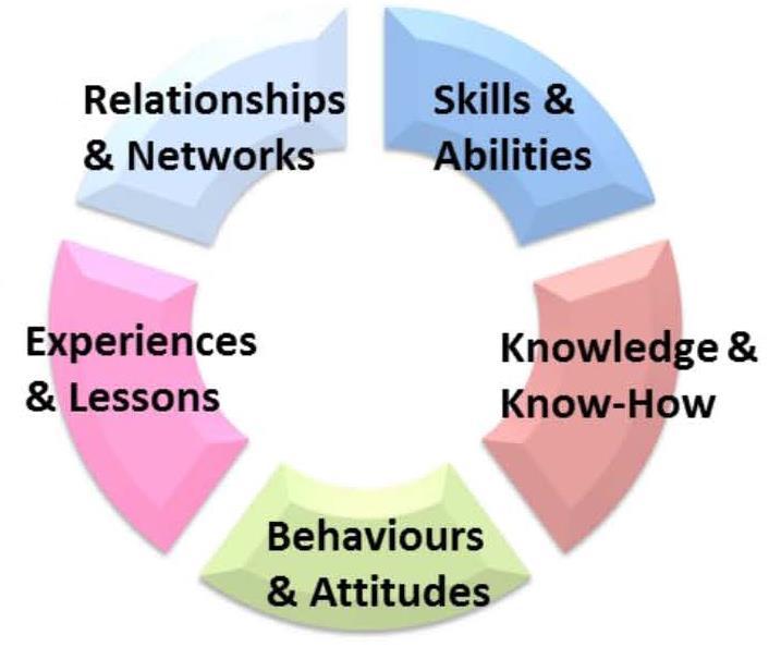 Knowledge Mentoring Competency to Capability