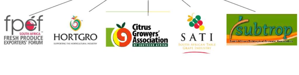Fruit SA Structure FSA was established in the early 2000 s as an umbrella organisation for the