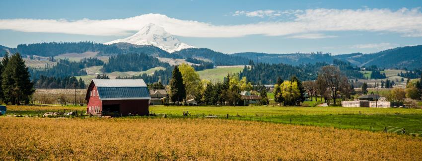 Part 1: The Fate of Oregon s Farmland in a Time of Change T he landscape of farming 3 is undergoing a slow but inexorable change.