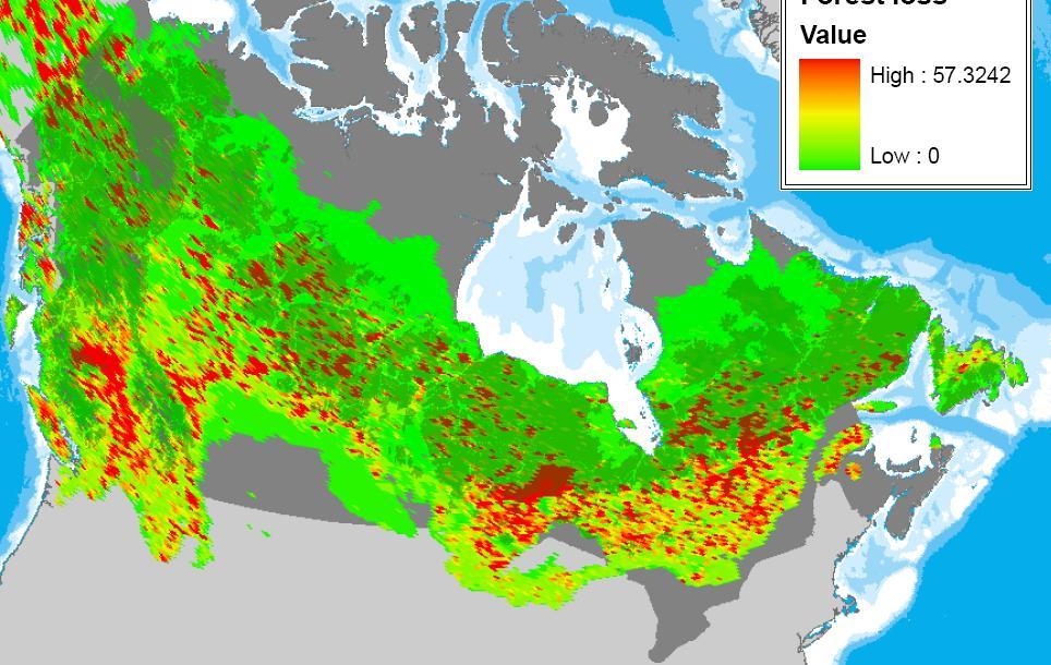 From Counting This *Draft maps created from tree cover change layer from SDSU (Matt Hansen/