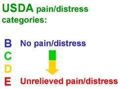 USDA Pain/Distress Categories Even if you use non-usda covered species (such as mice or rats) you will be required to place your animals into pain/distress