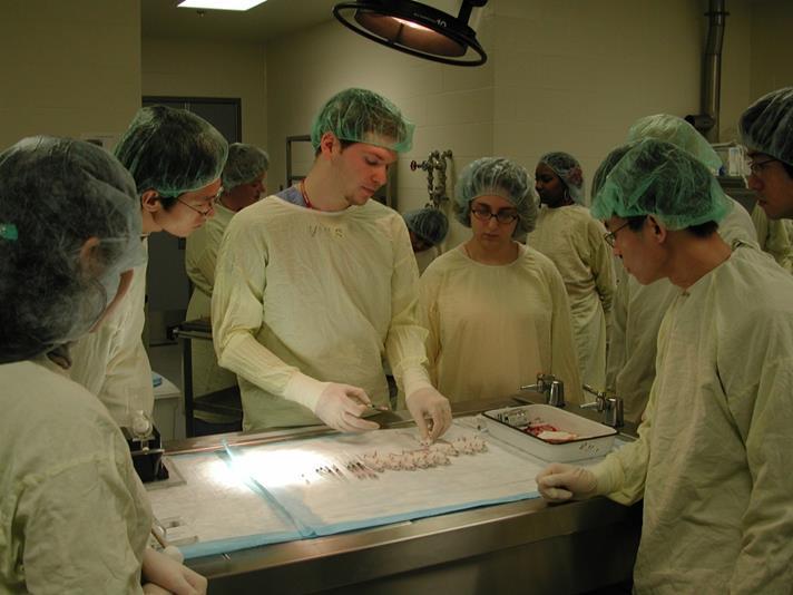 Services in the Laboratory Animal Shared Resource at RPCI Roswell Park Comprehensive