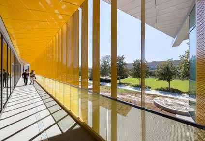 and walkway. Clad in bright yellow metal panels to reflect the official school color and shaded by vertical perforated metal fins, the skybox is visually inviting and welcoming from all directions.