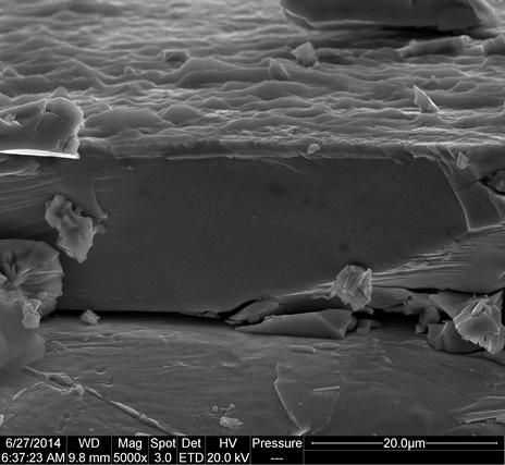 analysis in area II in d), g) SEM side images of HT-10S, h)